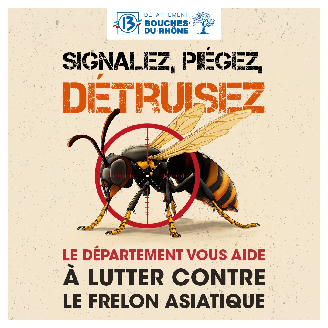 1080x1080-Dispositif-de-lutte-contre-le-frelon